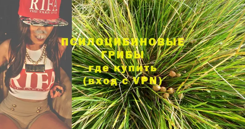 это телеграм  Белая Холуница  Галлюциногенные грибы Psilocybe  hydra tor 